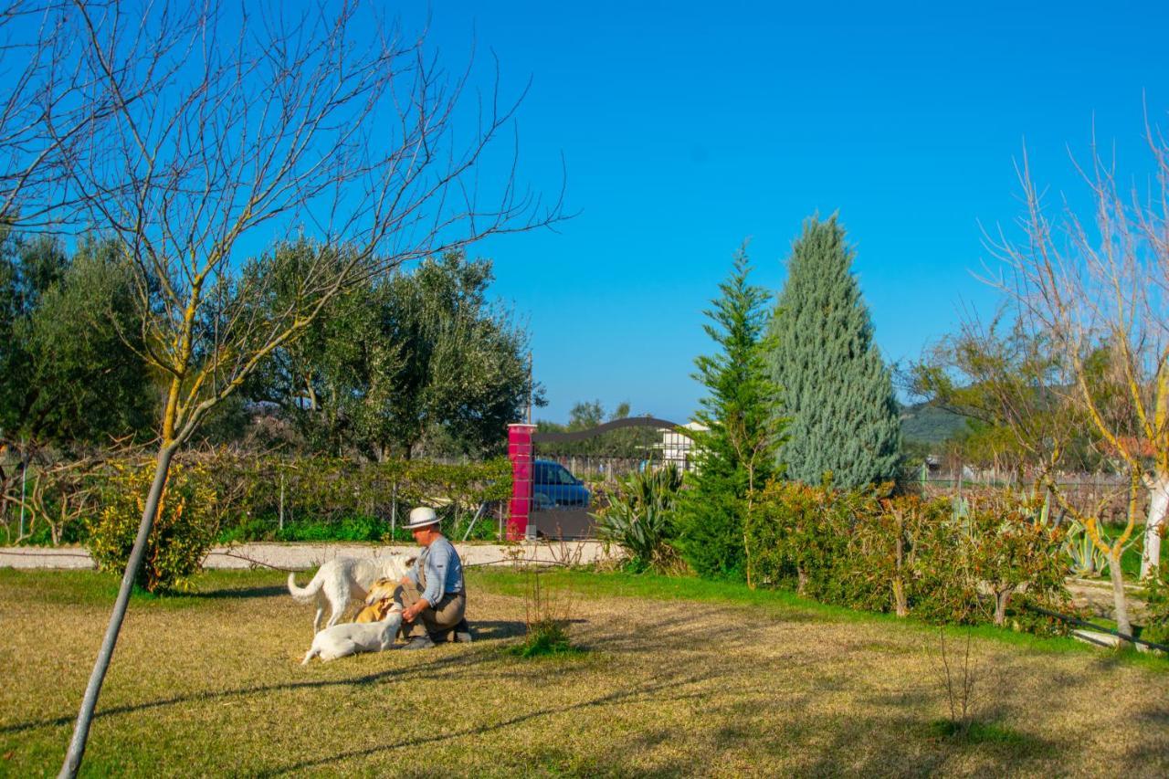 Loukas Farm House Áyios Kírikos Exterior foto