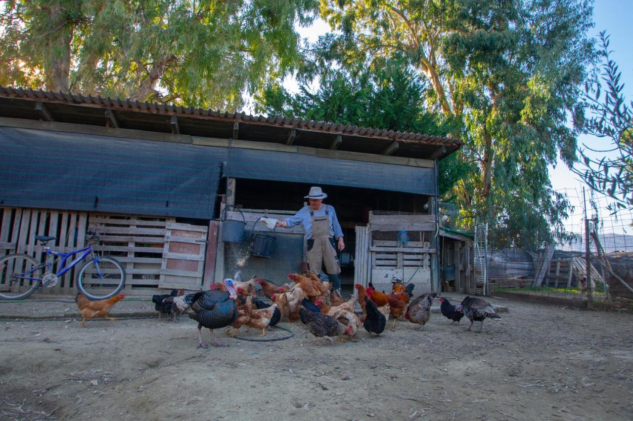 Loukas Farm House Áyios Kírikos Exterior foto